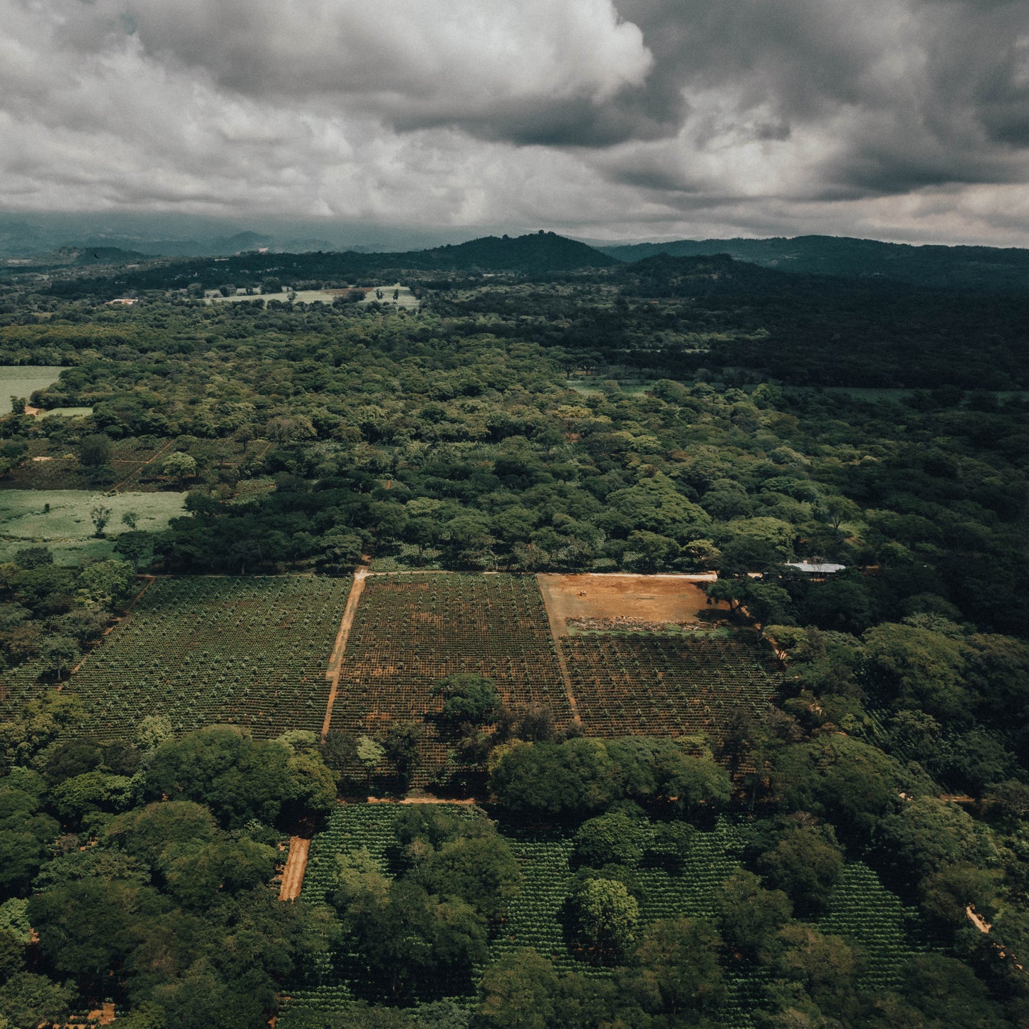 Aerial view of a landscape with green fields and trees under a cloudy sky.