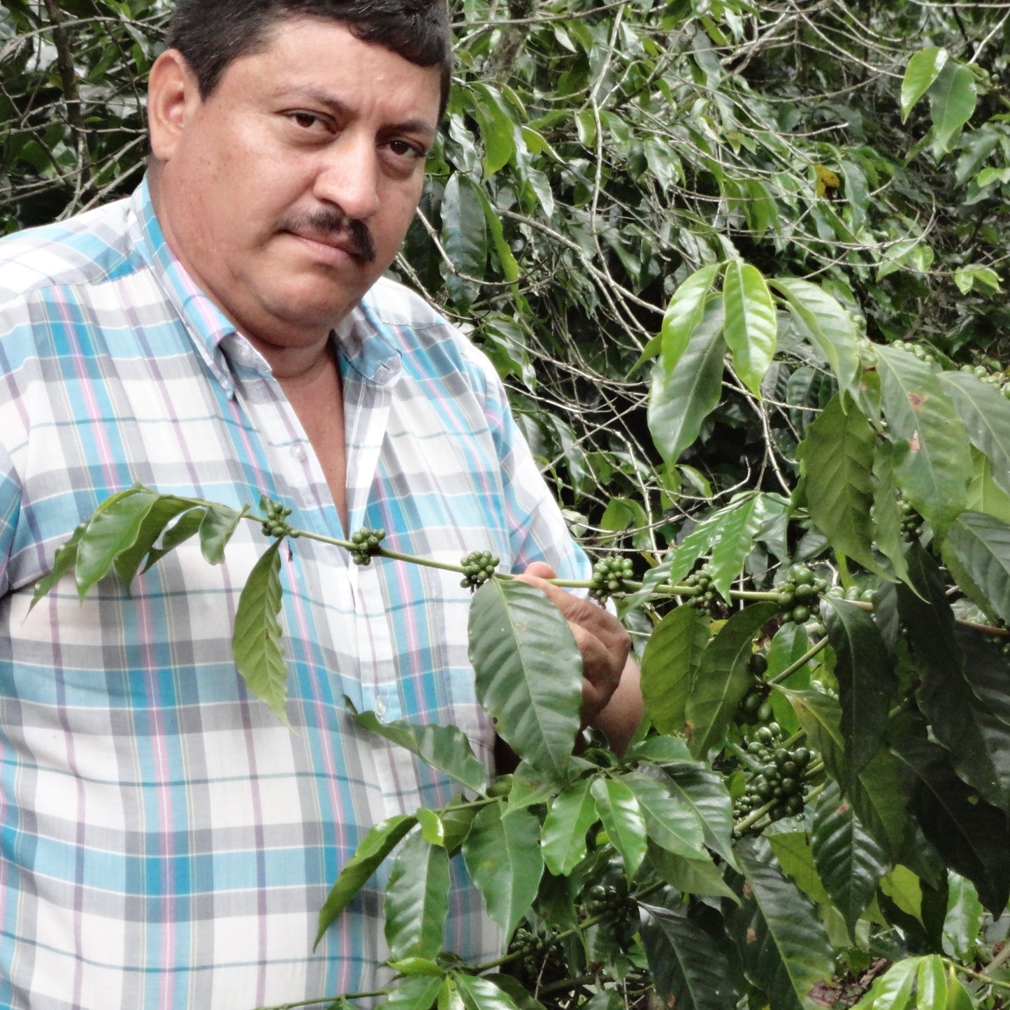 Guatemala La Colina