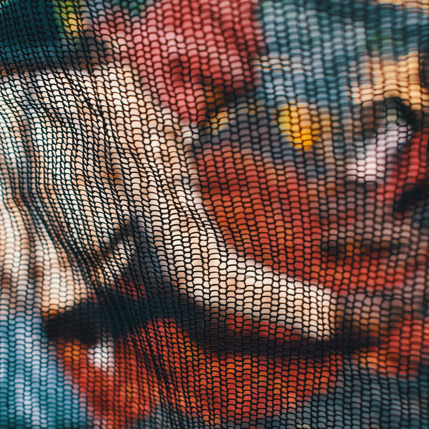 Ethiopia Guji