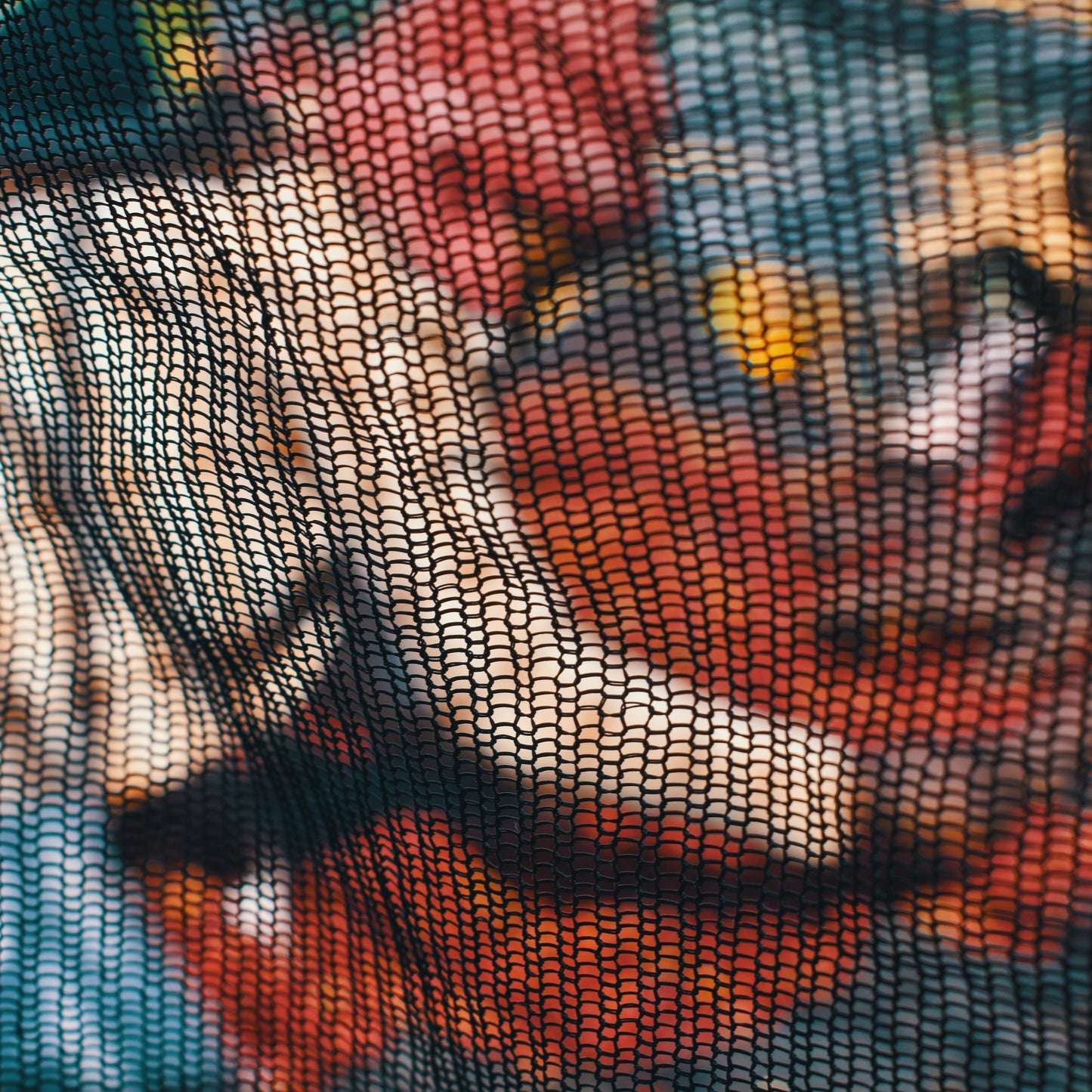 Ethiopia Natural - Home Run Club Subscription