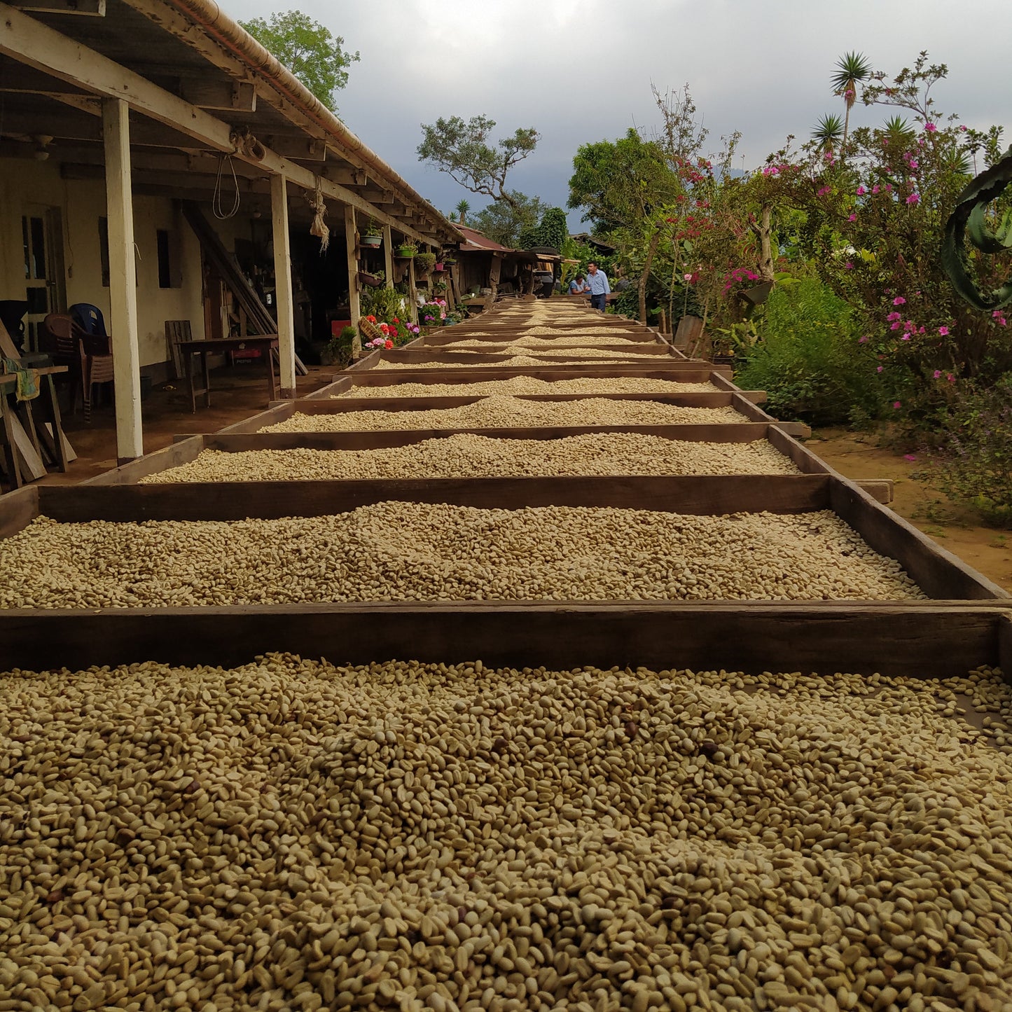 Guatemala La Leona