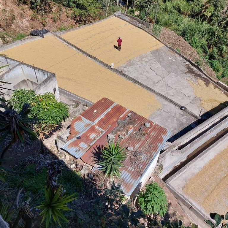 Guatemala Cafe Del Valle - Home Run Club Subscription