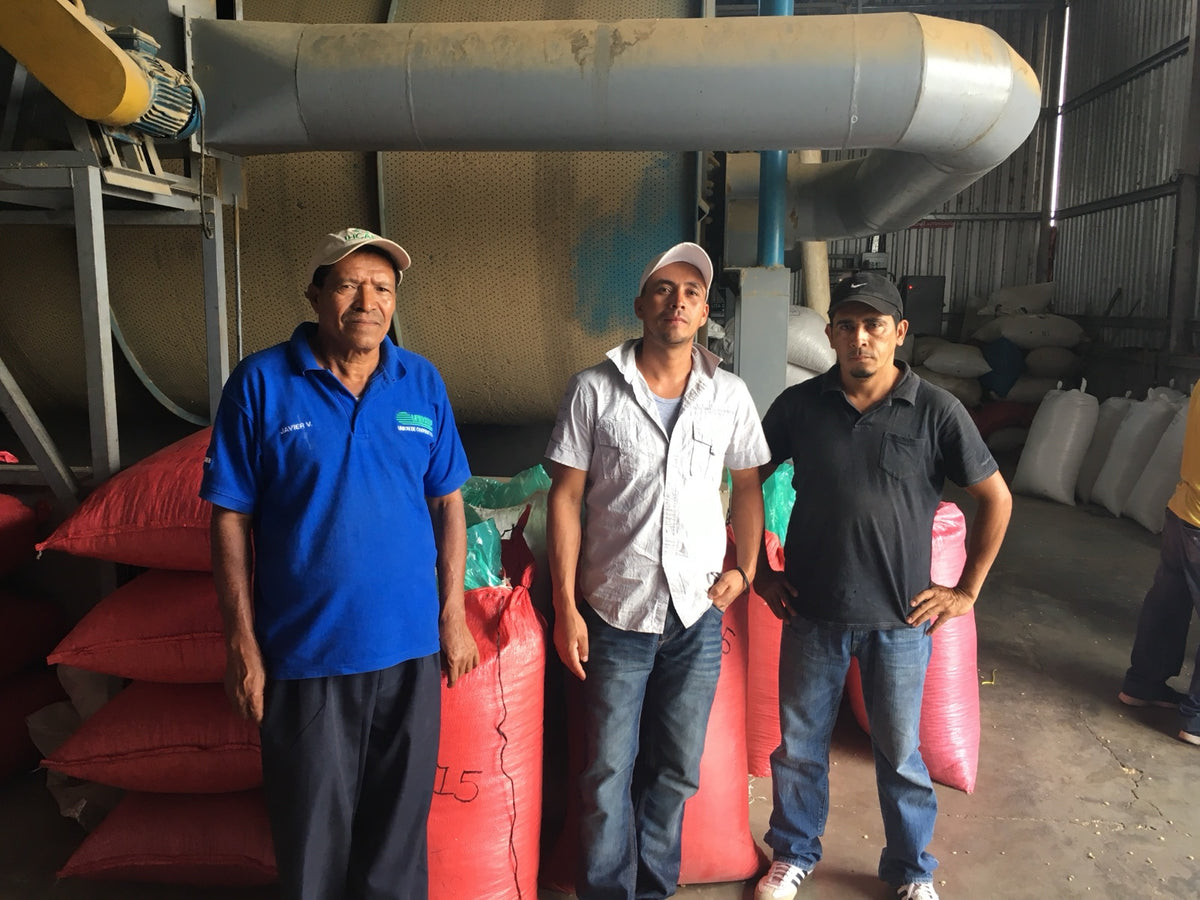 producer cafeuno mill